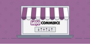 Chức năng plugin Woocommerce.