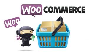 Giới thiệu nhanh về Plugin Woocommerce.