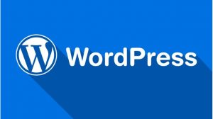 Khóa đào tạo lập trình WordPress.