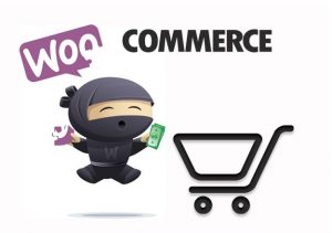 plugin Woocommerce.