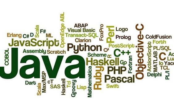 Top 5 ngôn ngữ lập trình web spa phổ biến nhất hiện nay