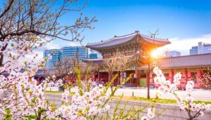 Du học Hàn Quốc ngành nghệ thông tin có nên hay không?