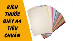 Kích thước tiêu chuẩn của khổ giấy A4 hiện nay