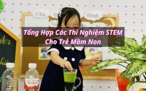 thí nghiệm stem cho trẻ mầm non
