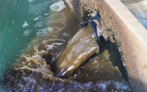 nước thải sinh hoạt