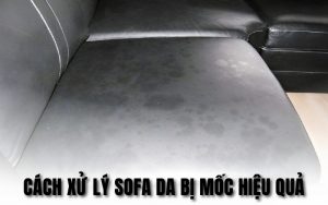 sofa da bị mốc