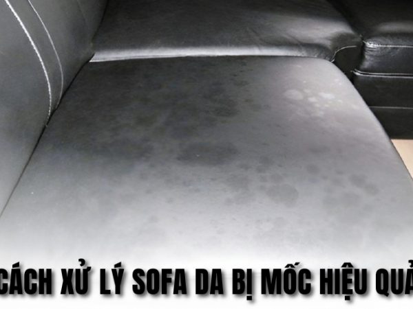 Sofa Da Bị Mốc: Nguyên Nhân, Dấu Hiệu Và Cách Xử Lý Hiệu Quả