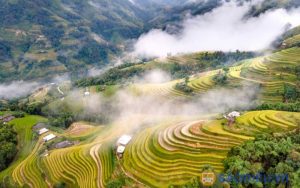 Hà Nội – Lào Cai – Hoàng Su Phì